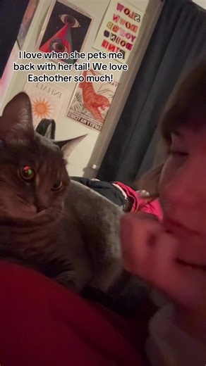 Understanding Cat Affection: Expressing Love Through Tails