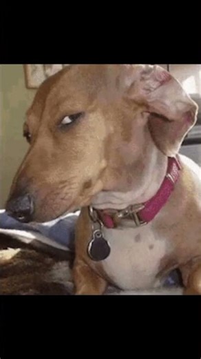 Want to start your own website fast? link 👇 https://members.doctorhoster.com/aff.php?aff=338