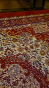 The baby wolfhound #reels #reelsfypシ #reelsviralシ #reelsvideo | Paranormal Supernatural Investigations Ireland