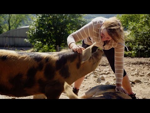 Rooted 1: Why produce local sustainable food