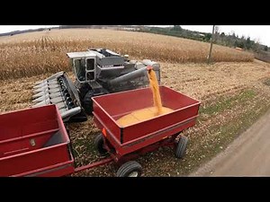 Efficient Allis-Chalmers - Gleaner Farm Operation - Deutz-Allis L3 - AC 7060 - Corn Harvest 2020 5K
