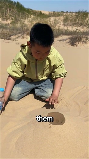 The Secret Physics of Sand Castles😱