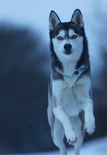 do you think people can change?👤