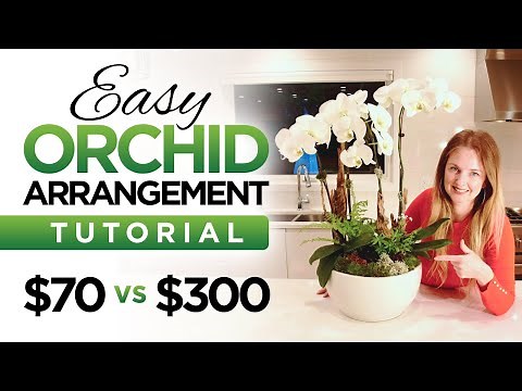 Easy Orchid Arrangement Tutorial / Diy Orchid Planter