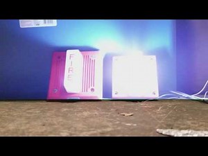 Wheelock EHS-DL1 VS EHS-EL1