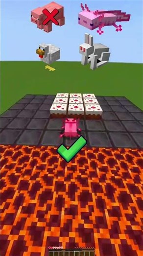 Which Minecraft animal will survive the lava? 🐷🔥 #minecraft