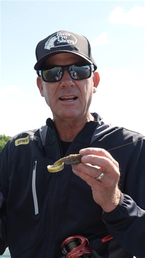 32K views · 325 reactions | This week's KVD Tip of the Week is working a KVD Rage Toad! | Bass Pro Shops | Facebook