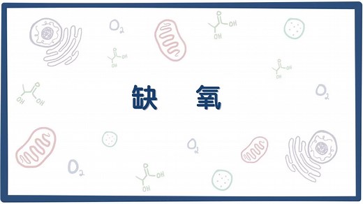 【Osmosis】 缺氧（中英字幕）