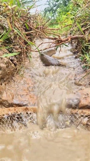 10 Most Unusual Fishing Methods