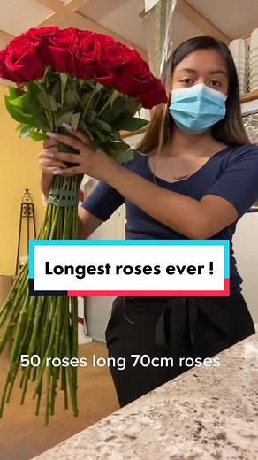 Gorgeous 70cm Red Roses - Almost Half My Height!