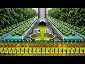 Inside an Avocado Oil Factory: How Avocado Oil Is Made (Full Process Explained)