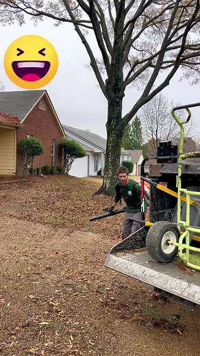 Tips for Using a Leaf Blower in Home Maintenance