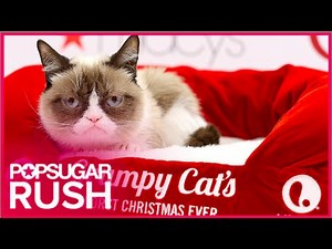 Grumpy Cat's Worst Christmas Ever Movie Preview