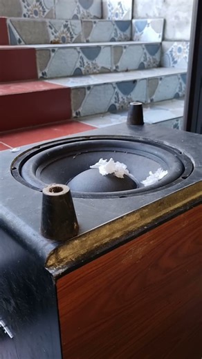 🤯 MASSIVE BASS TEST! High-End 12-inch Bose Subwoofer (Made in China) in a 25m² Room #nghia #dj