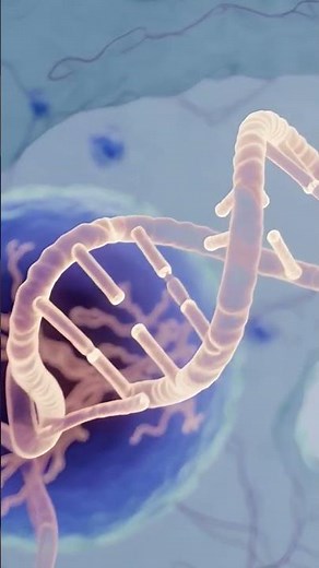 “Cell Division Explained in 3D | Mitosis & Meiosis Full Animation”