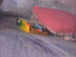 Petscop | complete chron. order | Part 3 - House