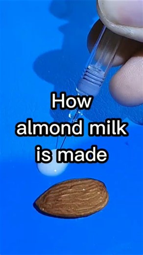 How to Make Almond Milk #howitsmade #diy #cooking #recipe #dairyfree