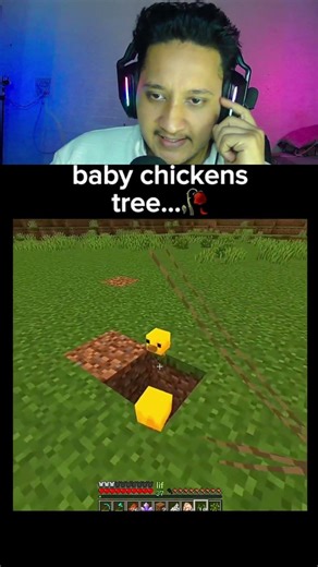 chicken tree #minecraft #hamplu #reaction