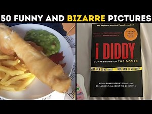 Funniest and Most Bizarre Pictures