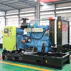 [Hot Item] Low Power 10kw 12.5kVA Open/ Silent/Trailer/Container Diesel Generator Set with Yangdong Engine