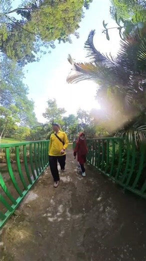 Keindahan Taman Tabebuya, Hidden Game Adem Banget | Jagakarsa JakSel