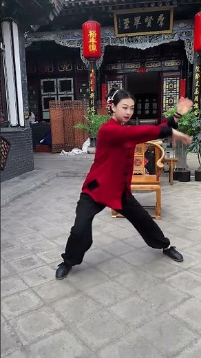 Tai Chi | 当中国风元素配上太极拳！#中国功夫 #kungfu #taichi #taichiquan #中华武术 #功夫 #太极拳 #chunli #taiji