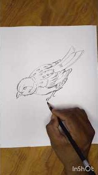 very Easy drawing Sparrow #art