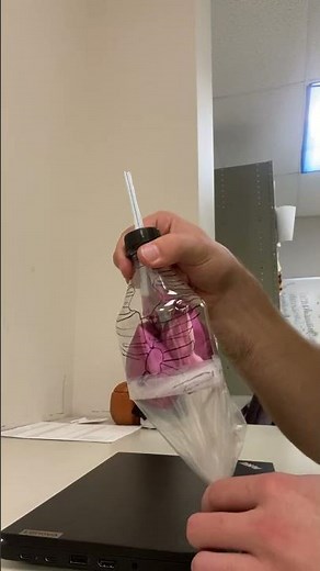 Lung Anatomy Model BIOL 415