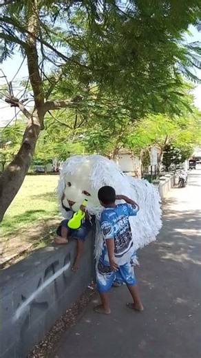 Agam invites close relative to sing MBG but gets bitten by a tiger cub