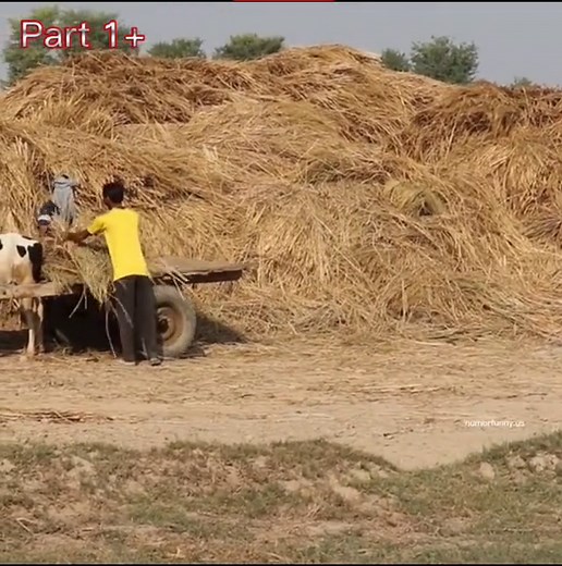 Hilarious Straw Man Comedy Compilation