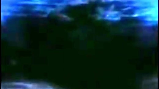 Finding Nemo Inside The Whale