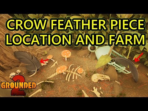 Grounded 2 Crow Feather Farm. Crow Feather Piece Location and Crow Feather Piece Farming Spot.