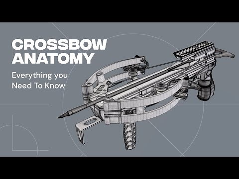 Crossbow Anatomy (Ballista Bat) Everything you Need To Know