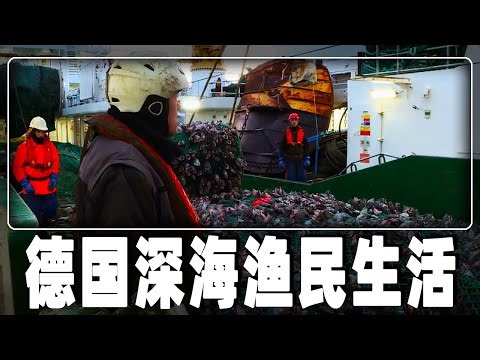 探秘德国渔民的深海捕鱼生活，它是一艘德国最先进的海上工厂，出海一趟捕捞1000吨比目鱼，1个月可赚1亿的小目标