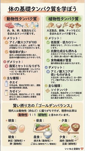 【1:1が理想】お肉に偏ってない？健康と美容を両立するタンパク質の賢い摂り方｜ダイエットに最適な組み合わせ術