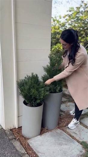 This faux cedar bush that will trick everyone!