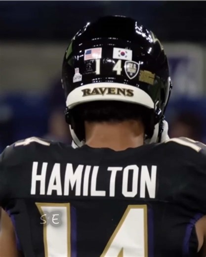 Kyle Hamilton Highlights: Baltimore Ravens Star