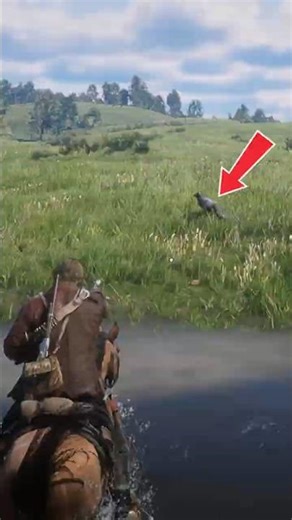 RDR2 Was it a fox or a raccoon? But it managed to escape #rdr2 #RedDeadRedemption