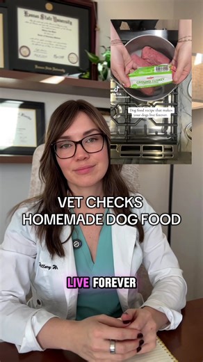 Essential Nutrients for Homemade Dog Food Recipes