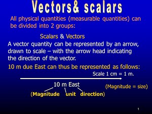VECTORS AND SCALARS