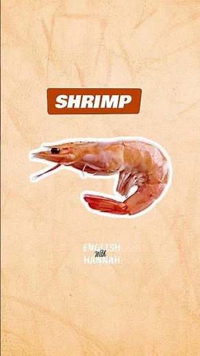 LEARN OCEAN ANIMALS WITH HANNAH