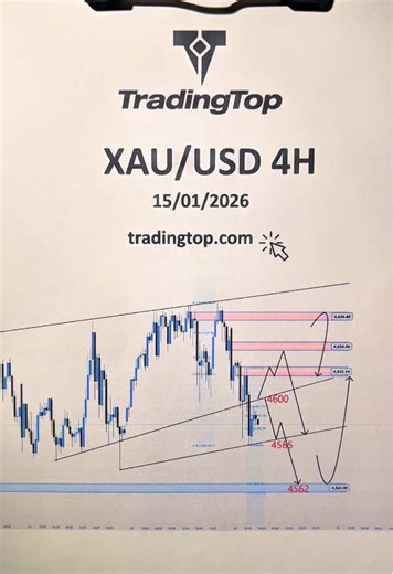 TradingTop on TikTok