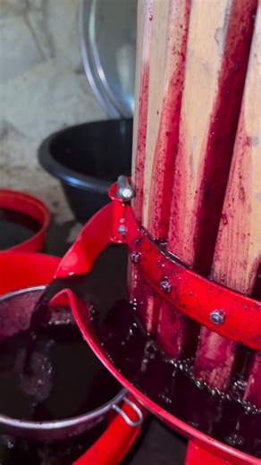 Domaine du Forgeron on Instagram: "Slow, gentle pressure 🍇 to extract the purest wine. That’s how character stays in the wine 🍷 — #wine #asmr"