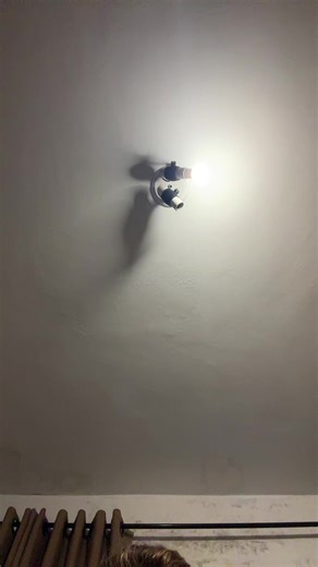 Os vídeos de Laura.M🪽 (@lauramandelli._) com som original - Laura.M🪽