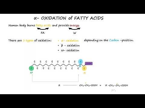 Alpha oxidation