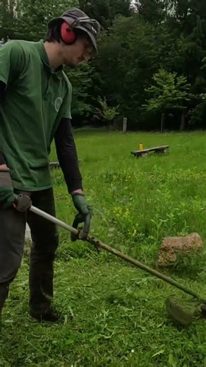 Husqvarna 525lk String Trimmer #freshcut