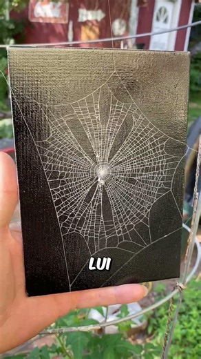 une toile d'araignée pour des centaines de dollars