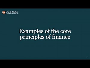 Principles of Finance: Examples of Core Principles