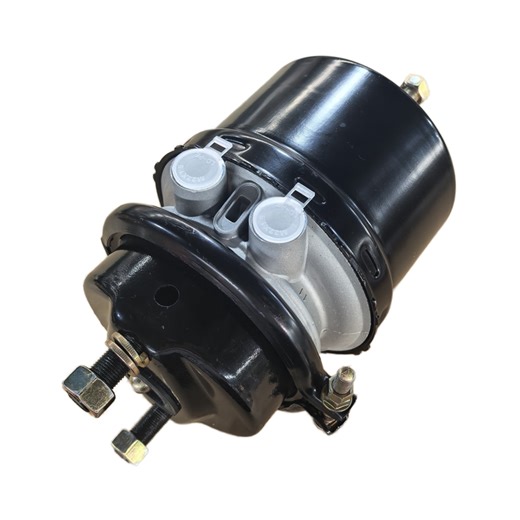 Brake System Air Spring Brake Chamber OE 9254800110  0154207618  T20/24DCP DISC for Truck