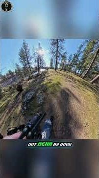 360 Camera Audio Test Can It Handle the Wild